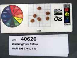 w6_40626s.jpg