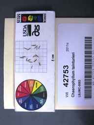 w6_42753s.jpg
