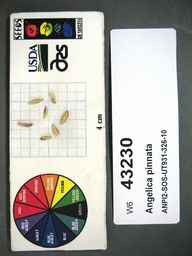 w6_43230s.jpg