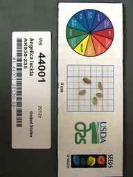 w6_44001s.jpg