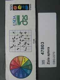 w6_47803s.jpg