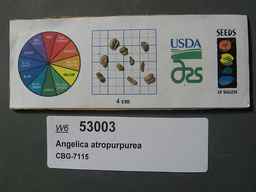 w6_53003_2017o_sd_seeds.jpg