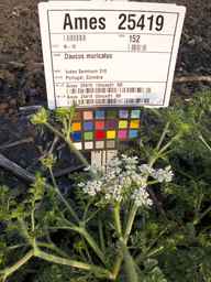 Ames_25419_03ncai01_SD_PL_UM_2013-07-01_01.jpg