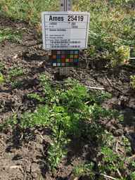 Ames_25419_03ncai01_SD_PL_XX_2013-07-29_01.jpg