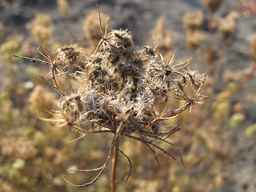 Ames_25608_09ncab01_SD_SD_XX_2011-10-18_01.jpg