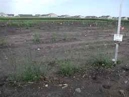 Ames_25721_08ncai01_SD_PL_XX_2010-07-21_01.jpg