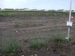 Ames_25721_08ncai01_SD_PL_XX_2010-07-21_02.jpg