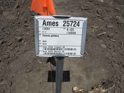 Ames_25724_08ncai01_SD_PL_XX_2011-07-06_01.jpg