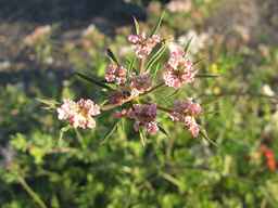 Ames_25729_09ncab01_SD_PL_UM_2010-08-27_02.jpg