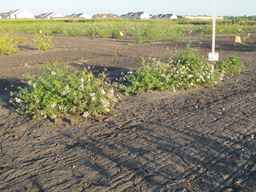 Ames_25729_09ncab01_SD_PL_XX_2010-08-27_01.jpg
