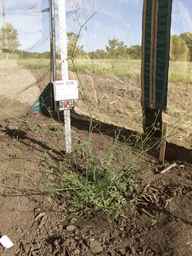 Ames_25750_12ncax01_SD_PL_XX_2013-06-28_01.jpg