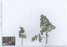 Ames_25898_10ncab01_SD_PL_LV_2011-07-11_03.jpg
