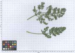 Ames_25898_10ncab01_SD_PL_LV_2013-06-17_03.jpg