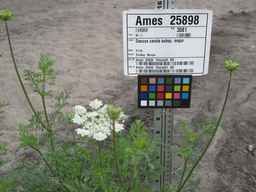 Ames_25898_10ncab01_SD_PL_UM_2010-08-20_01.jpg