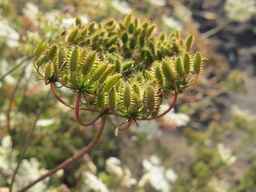 Ames_25898_10ncab01_SD_PL_UM_2011-10-18_03.jpg