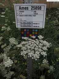 Ames_25898_10ncab01_SD_PL_UM_2013-07-31_02.jpg