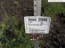 Ames_25898_10ncab01_SD_PL_XX_2013-07-02_01.jpg