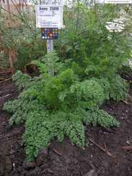 Ames_25898_10ncab01_SD_PL_XX_2013-07-31_01.jpg