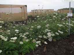 Ames_25898_10ncab01_SD_PL_XX_2013-07-31_03.jpg