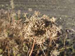 Ames_25898_10ncab01_SD_SD_XX_2013-10-07_01.jpg