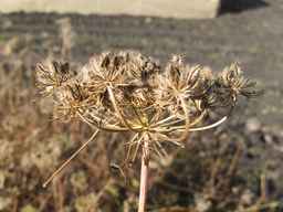 Ames_25898_10ncab01_SD_SD_XX_2013-10-07_02.jpg