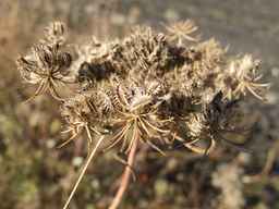 Ames_25898_10ncab01_SD_SD_XX_2013-10-07_03.jpg
