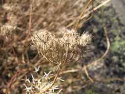 Ames_25898_10ncab01_SD_SD_XX_2013-10-07_05.jpg