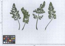 Ames_26381_10ncai01_SD_PL_LV_2013-06-06_02.jpg