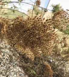 Ames_26381_10ncai01_SD_SD_XX_2017-09-08_02.jpg