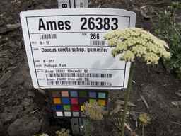 Ames_26383_01ncao01_SD_PL_UM_2013-06-26_02.jpg