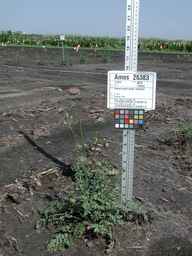 Ames_26383_01ncao01_SD_PL_XX_2010-08-05_01.jpg