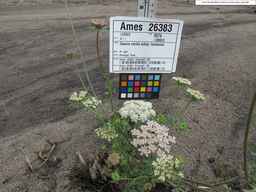 Ames_26383_01ncao01_SD_PL_XX_2010-08-18_02.jpg