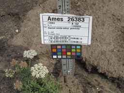 Ames_26383_01ncao01_SD_PL_XX_2011-06-16_01.jpg