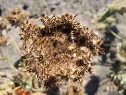 Ames_26383_01ncao01_SD_SD_XX_2013-09-13_02.jpg