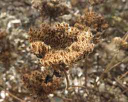 Ames_26383_12ncab01_SD_SD_XX_2017-09-08_01.jpg
