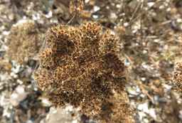 Ames_26383_12ncab01_SD_SD_XX_2017-09-08_02.jpg