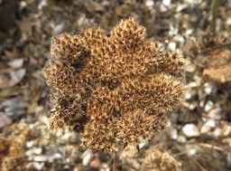 Ames_26383_12ncab01_SD_SD_XX_2017-09-08_03.jpg