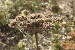 Ames_26383_12ncab01_SD_SD_XX_2017-09-08_04.jpg