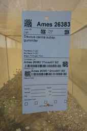 Ames_26383_12ncab01_SD_SD_XX_2017-09-08_06.jpg