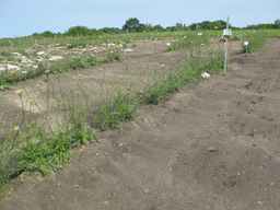 Ames_26386_01ncao01_SD_PL_XX_2011-06-24_03.jpg