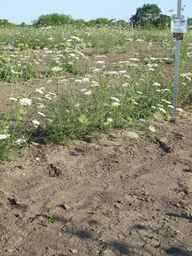Ames_26386_01ncao01_SD_PL_XX_2011-07-08_04.jpg