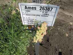 Ames_26387_01ncao01_SD_PL_XX_2011-06-28_01.jpg