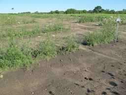 Ames_26387_01ncao01_SD_PL_XX_2011-06-28_03.jpg