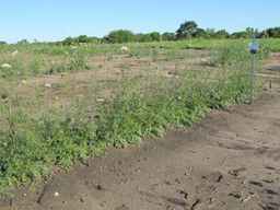 Ames_26388_01ncao01_SD_PL_XX_2011-06-28_03.jpg