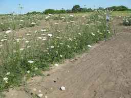 Ames_26388_01ncao01_SD_PL_XX_2011-07-08_04.jpg