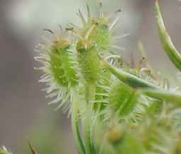 Ames_26393_01ncao01_SD_PL_UM_2011-07-12_02.jpg
