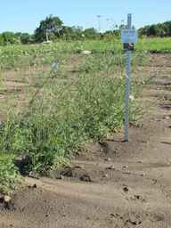 Ames_26393_01ncao01_SD_PL_XX_2011-06-28_03.jpg