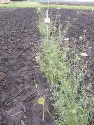 Ames_26393_01ncao01_SD_PL_XX_2013-06-25_02.jpg