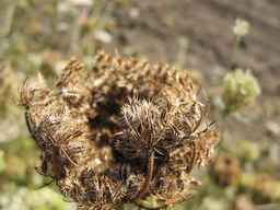 Ames_26393_01ncao01_SD_SD_XX_2011-08-18_02.jpg
