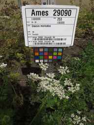 Ames_29090_12ncai01_SD_PL_UM_2013-07-29_01.jpg